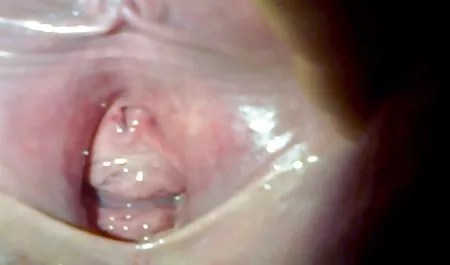 Fucking მოწიფული ცოლი hairy pussy fucked